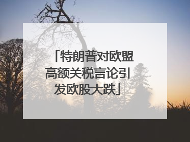 特朗普对欧盟高额关税言论引发欧股大跌